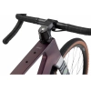Rower RONDO RUUT CF2 aubergine/silver
